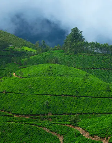 Idukki